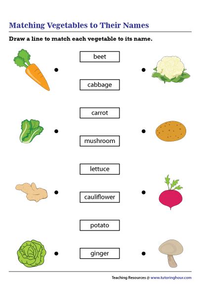 Matching Vegetables to Their Names Worksheet