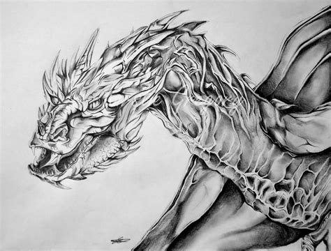 Smaug Dragon Drawing at PaintingValley.com | Explore collection of Smaug Dragon Drawing