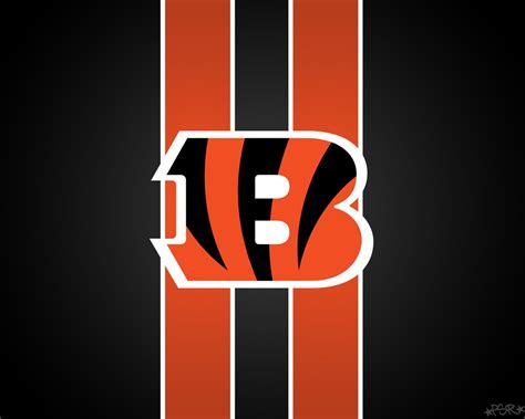 cincinnati bengals 2013 schedule | Cincinnati bengals, Bengals football, Cincinnati bengals football