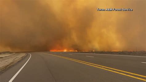 Texas A&M Forest Service raises wildfire preparedness to level 3 ...