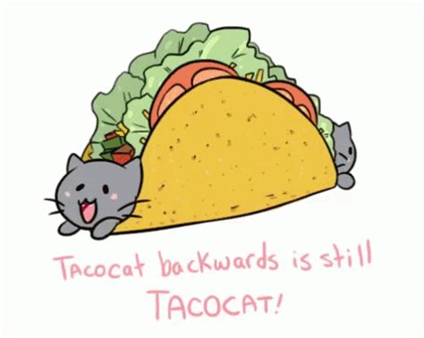 Funny Meme Taco Cat GIF - Funny Meme Taco Cat Taco Day - Discover ...