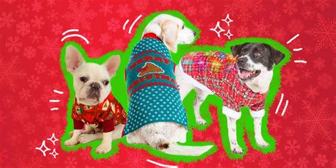 The Best Ugly Christmas Sweaters For Your Dog - DodoWell - The Dodo