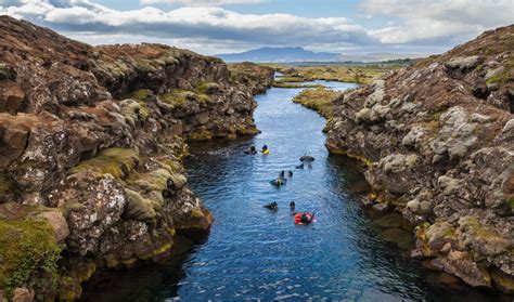 Natural History – The Mid-Atlantic Ridge - Tiplr