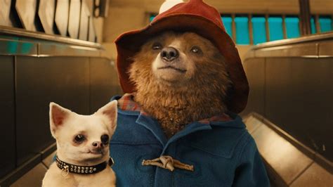 Paddington | Where to watch streaming and online | Flicks.co.nz