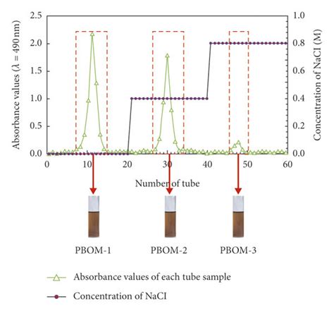 The elution curve of PBOM from DEAE-52 column chromatography by linear ...