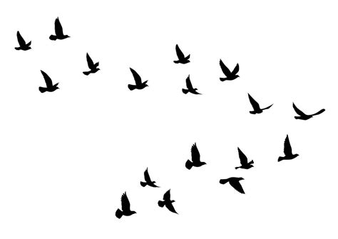 Flying birds silhouettes on white background. Vector illustration ...