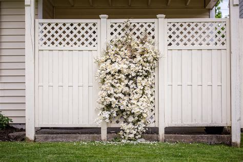 The Top Designs for Ornamental Fencing - Courtney Cole Writes