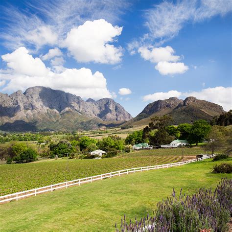 Mont Rochelle Hotel (Franschhoek, South Africa) Verified Reviews | Tablet Hotels
