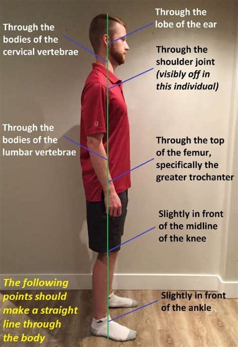 Proper Posture and Postural Cues - Nova Physiotherapy