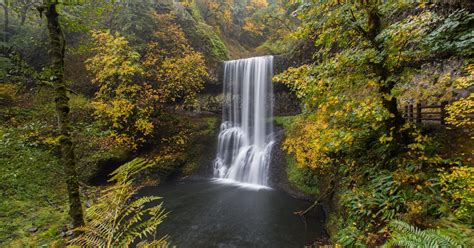 Camp in Silver Falls State Park, Silverton, Oregon