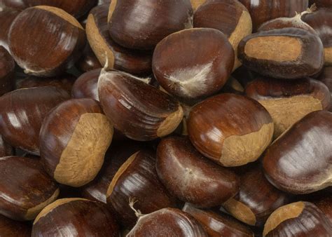 Chestnuts Large Fresh – Product of Washington State USA – Buy Fresh Chestnuts