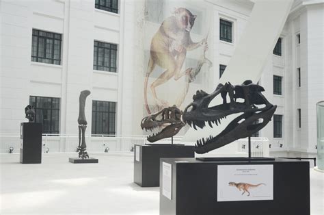 NMNH: The Shell Philippines Centennial Upper Courtyard – National Museum