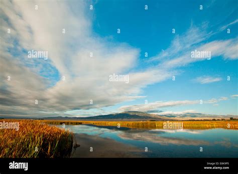 Freshwater marsh hi-res stock photography and images - Alamy