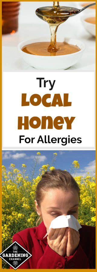 Local Honey for Allergies - Gardening Channel