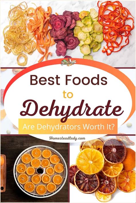 Best Foods to Dehydrate • Homestead Lady