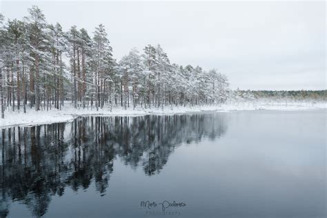 Winter in Estonia - Capture Estonia Nature and Photography Tours