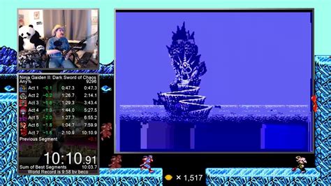 Ninja Gaiden II NES speedrun in 10:10 by Arcus - YouTube