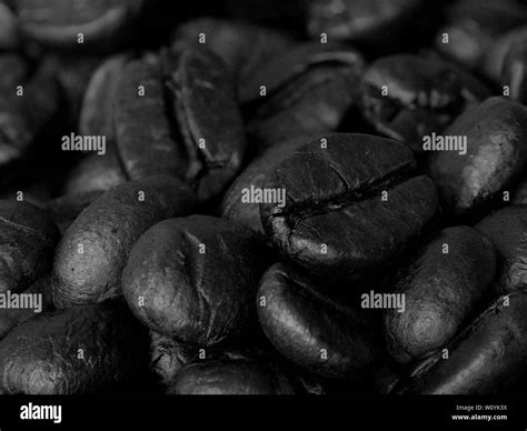 Bean Black and White Stock Photos & Images - Alamy