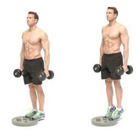 Weighted Calf Raises - Exercise How-to - Workout Trainer by Skimble