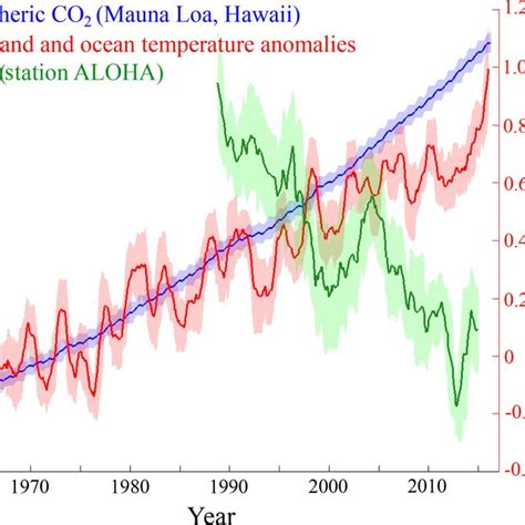 (PDF) Reviews and syntheses: Ocean iron fertilization experiments - Past, present, and future ...