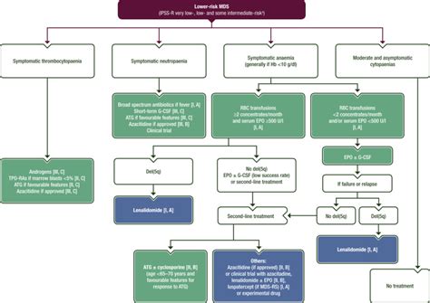 Myelodysplastic syndromes: ESMO Clinical Practice Guidelines for diagnosis, treatment and follow ...