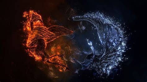 Yin Yang Dragon Wallpapers - Wallpaper Cave