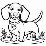 Coloring Page With Dachshund Dog Colouring Book For Kids  sketch template