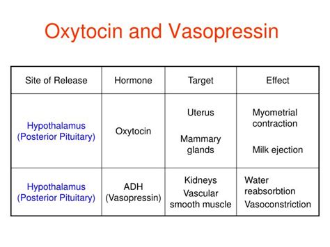 PPT - Oxytocin and Vasopressin PowerPoint Presentation - ID:3946132