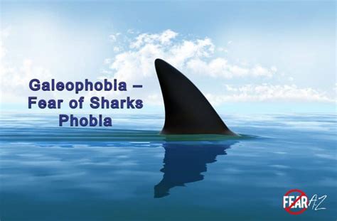 Galeophobia – Fear of Sharks Phobia – FearAZ.com