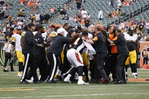 Bengals & Steelers Fight During Pregame Warmups - Daily Snark