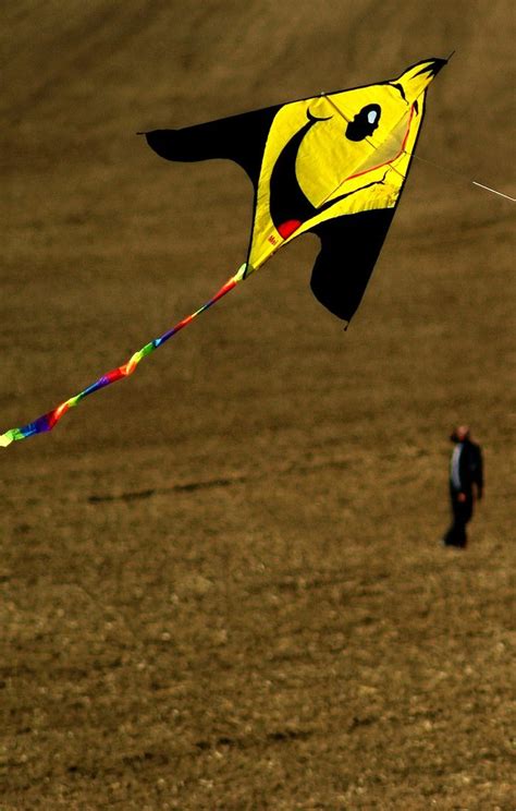 128 best images about Delta Kites on Pinterest | Kites, A photo and Labor