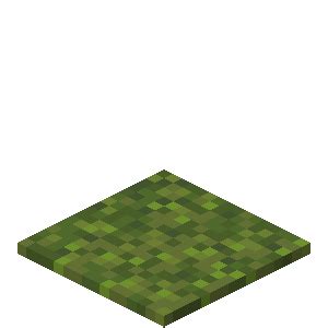 Capa de musgo - Minecraft Wiki