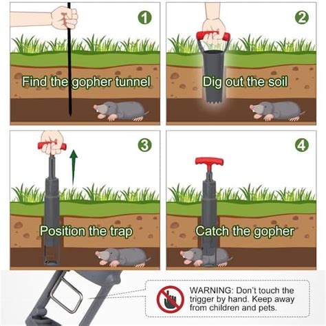 Different Types Of Mole Traps And How To Use Them, 40% OFF