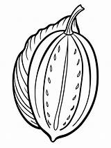 Bitter Melon coloring Book Pages For Children And Adults With Vector  sketch template