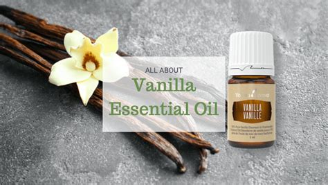 A Complete Guide To Using Vanilla Essential Oil