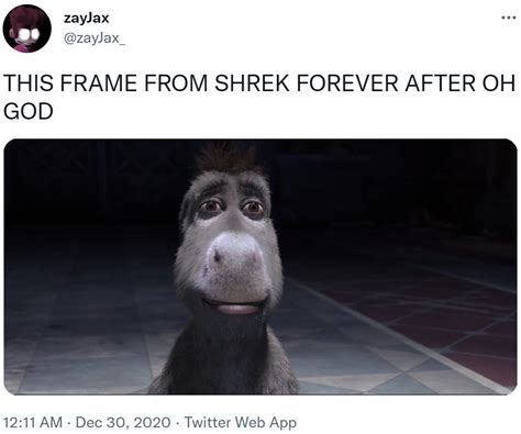 THIS FRAME FROM SHREK FOREVER AFTER OH GOD | Staring Donkey | Know Your Meme