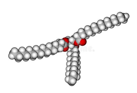 Sketch Of Triglyceride Lipid Model Coloring Pages