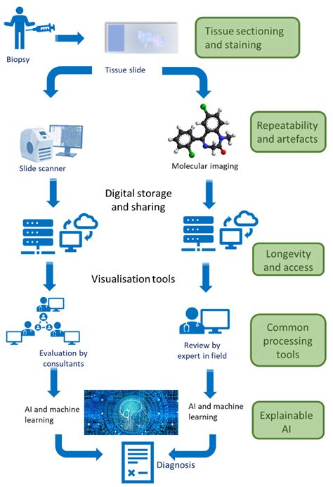 JMP | Free Full-Text | Next Generation Digital Pathology: Emerging ...