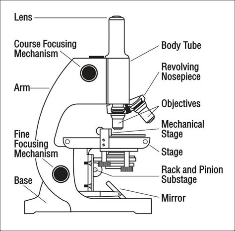 Idea for instructions | Microscope parts, Scientific method, Microscope lesson