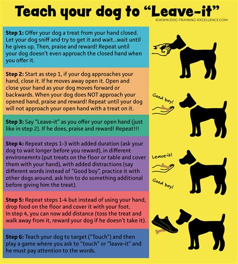 Good Dog Commands at Hilda Bailey blog