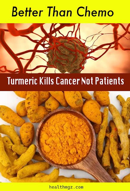 Turmeric Kills Cancer – Not Patients and Better Than Chemo - wellness ...