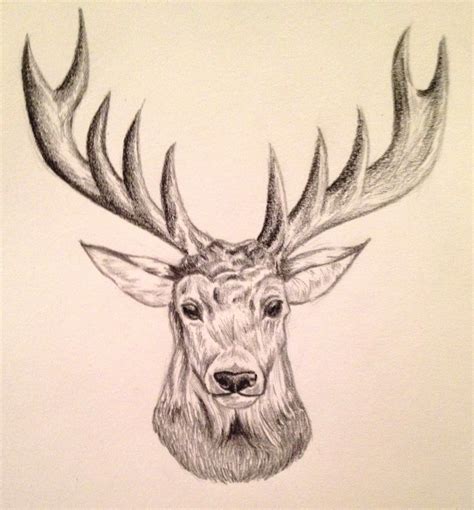 It’s Christmas, My Deer | Pencil drawings, Animal sketches, Reindeer drawing