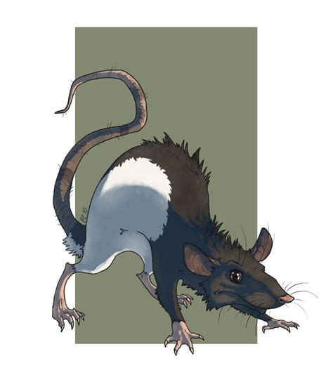 Fancy rat :D by Kerneinheit on deviantART | Animal caricature, Animal ...