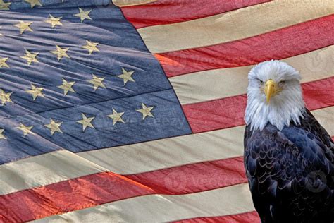 eagle on star and stripes flag 19083772 Stock Photo at Vecteezy