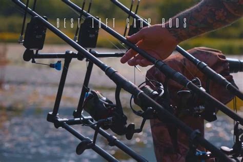 The Top 5 Best 10ft Carp Rods in 2025 - Reviewed and Compared