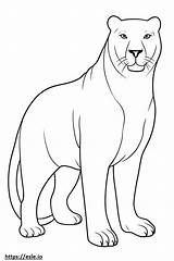 Adults Kot Bombay Katzen Katzenbilder Katze Tegninger Ausmalbild  sketch template