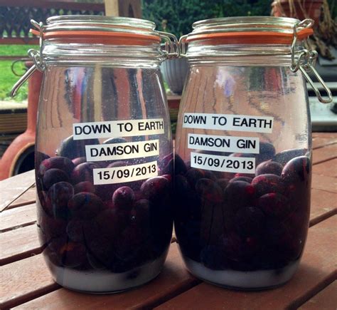 Best Easy Damson Gin Recipe | Down To Earth Foods Greengrocer | Damson gin recipe, Gin recipes ...