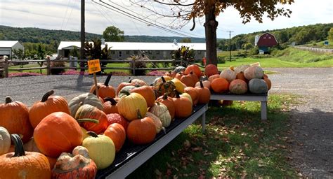 The New York Wine and Culinary Center, located in Canandaigua, NY in ...