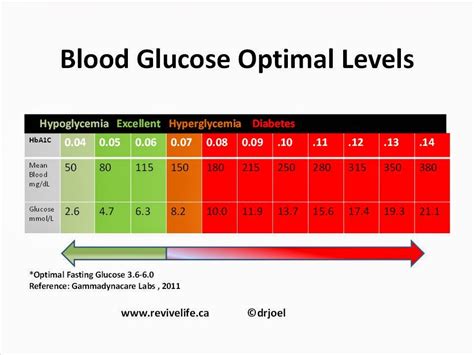 Diet for a diabetic, cholesterol metabolism and pancreatic beta-cell ...