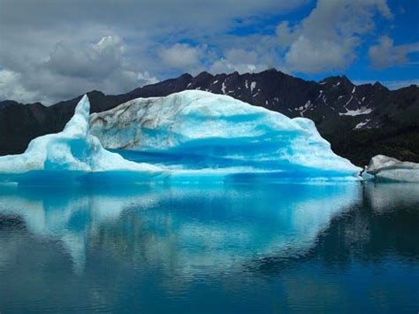 Kenai Fjords National Park: 10 tips to make the most of your visit | Kenai fjords national park ...